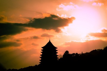 IMG_6453.jpg