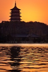 IMG_6875.jpg