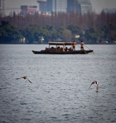 IMG_6733.jpg