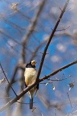IMG_6750.jpg