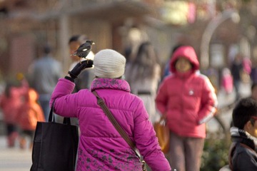 IMG_6769.jpg
