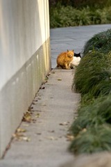 IMG_6822.jpg