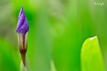 IMG_9506.jpg