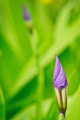 IMG_9513.jpg