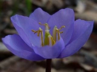 P1080549.JPG