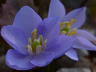 P1080550.JPG