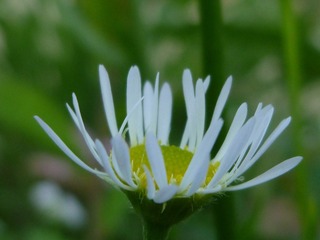 P1090006.JPG