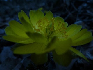 P1070684.JPG