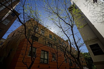 DSC01342.jpg