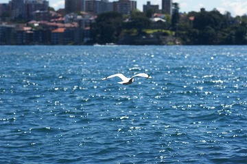 DSC08633.jpg