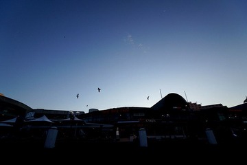 DSC09116.jpg