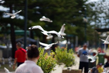 DSC09278.jpg