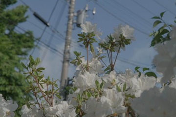 DSCF8229.jpg
