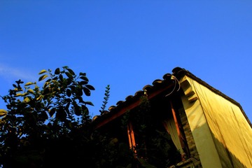 IMG_1742.JPG