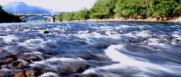 IMG_2770.JPG