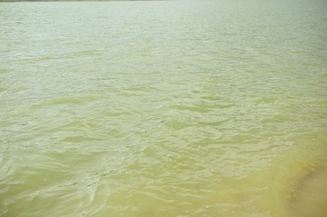 DSC_5235.jpg