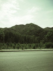 R0024033.jpg
