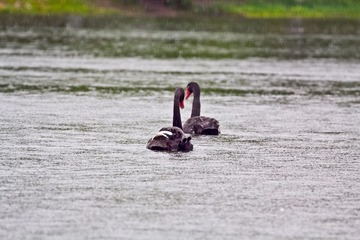 IMG_1770.jpg
