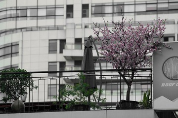 IMG_2762.jpg