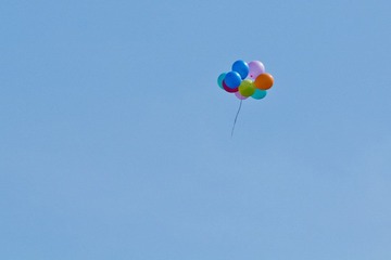 IMG_3061.jpg