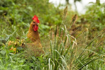 IMG_3432.jpg