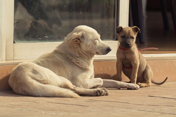 IMG_3453.jpg