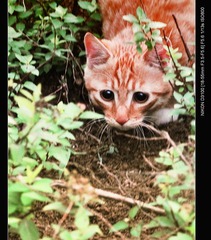 DSC_0314.jpg