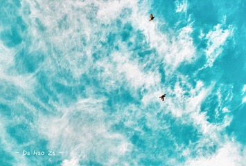 DSC_1207.jpg