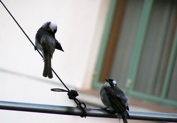 DSCN0156.jpg