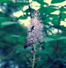 DSCN0439.jpg