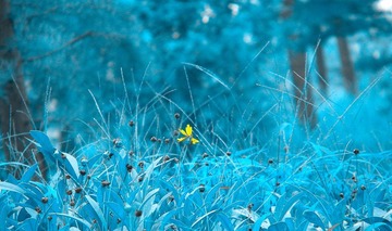 DSCN0420.jpg
