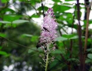 DSCN0438.jpg