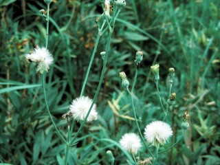 DSCN0463.jpg