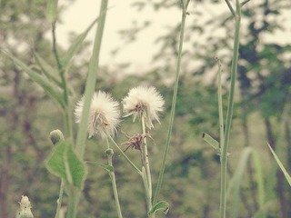 DSCN0460.jpg