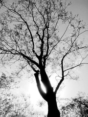 WP_000745_副本.jpg