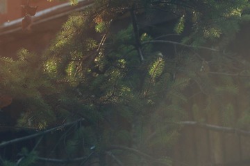 二刷红叶谷 056_副本.jpg