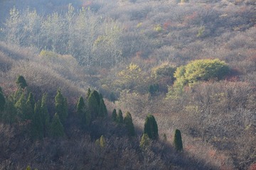 二刷红叶谷 071_副本.jpg