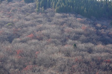 二刷红叶谷 072_副本.jpg