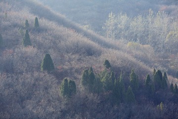 二刷红叶谷 073_副本.jpg