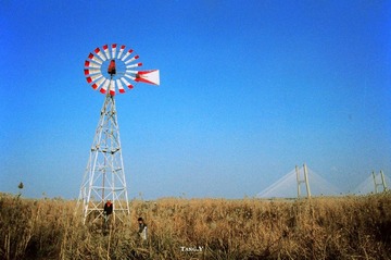 风车1.jpg