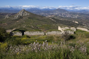 IMAG0031.jpg