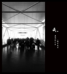 IMAG0265_副本.jpg