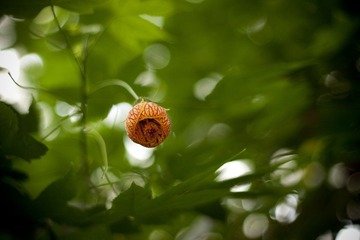 _MG_6629@.jpg