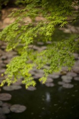 _MG_6671@.jpg