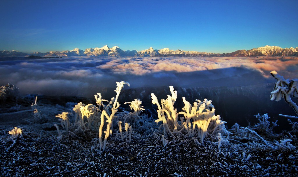 【雪山云海】雪山就在不远处,云海从脚下一直延伸,都说牛背山是考验人品的地方,可是这一趟,雪山云海日出佛光挨个出现,受宠若惊啊!