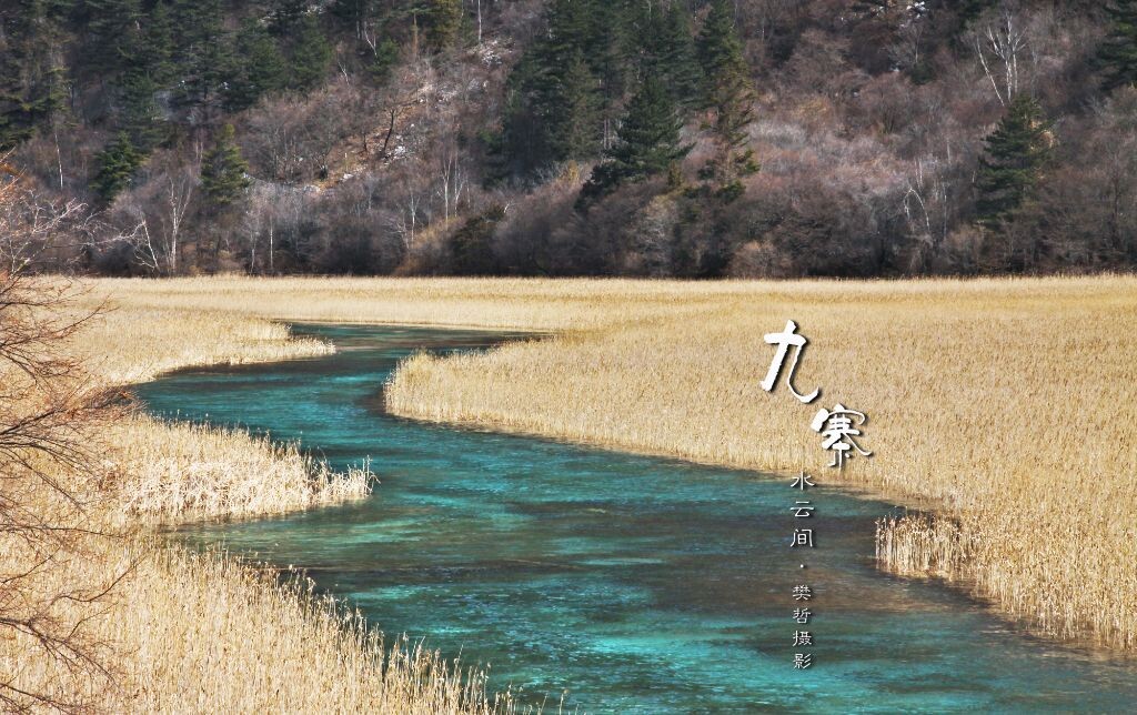 九寨·水韵<br />
那些海子,<br />
散落在川西的群山里;<br />
<br />
九公里的山路,<br />
看高山覆雪,<br />
静水沉碧。<br />
<br />
一条河,<br />
有着孔雀羽毛的色彩,<br />
在金色的芦苇荡里流淌。