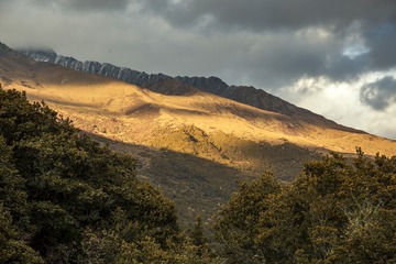 山坡上的阳光