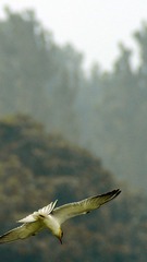 IMGP7694.JPG