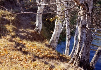 IMGP8391.JPG