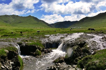 P1050817.JPG